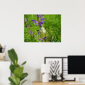 Poster de papillon blanc à veines noires (Bureau à domicile)