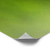 Poster de papillon bleu (Coin)