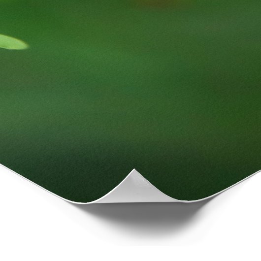 Poster de papillon bleu (Coin)