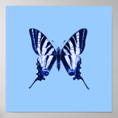 Poster de papillon bleu (Devant)