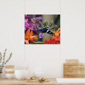 Poster de papillon bleu tropical (Cuisine)