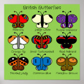 Poster de papillon britannique aux couleurs mignon (Devant)