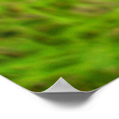 Poster de papillon en cuivre à bords pourpres (Coin)