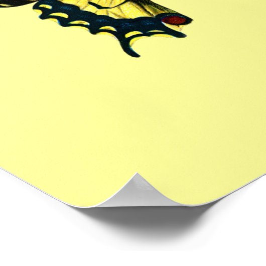 Poster de papillon jaune (Coin)