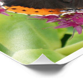 Poster de papillon noir et blanc orange (Coin)