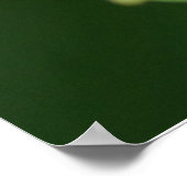 Poster de papillon Pearl Crescent (Coin)