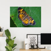 Poster de papillon Pearl Crescent (Bureau à domicile)