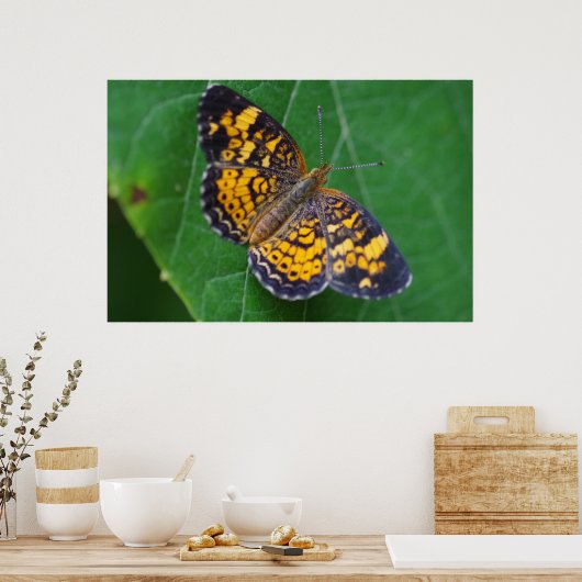 Poster de papillon Pearl Crescent (Cuisine)