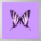 Poster de papillon pourpre (Devant)