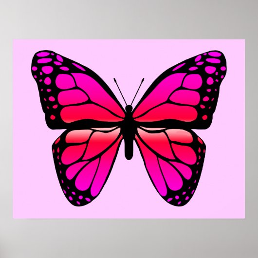 Poster de papillon rose (Devant)