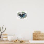 Poster de papillon rouge pourpre tacheté (Cuisine)