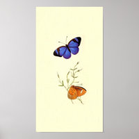 Poster de papillon vintage