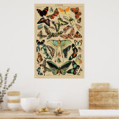 Poster de papillon vintage Imprime les insectes d' (Cuisine)
