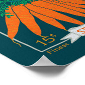 Poster de paquets de graines de carottes (Rich Nav (Coin)