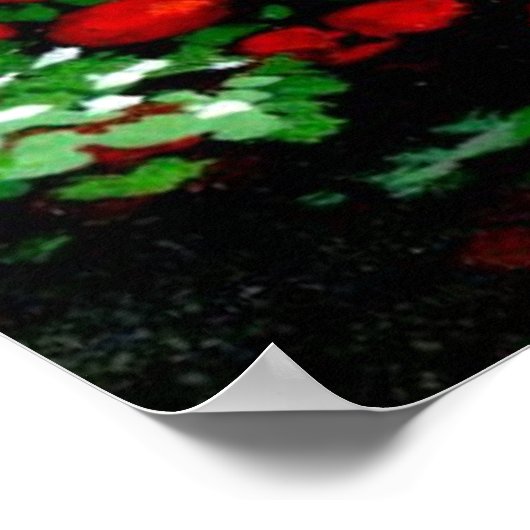 Poster de Park Bridge (Coin)