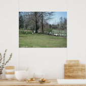 Poster de Park Ducks le 4 mars (Cuisine)