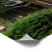 Poster de Park Guell (Coin)