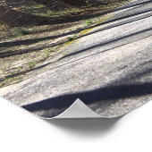 Poster de Park Walking Bridge (Coin)