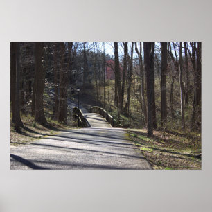 Poster de Park Walking Bridge