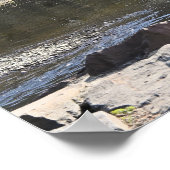 Poster de Park Waterscape (Coin)