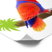 Poster de Parrots Galore (Coin)