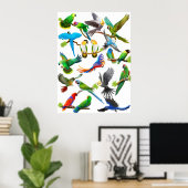 Poster de Parrots Galore (Bureau à domicile)