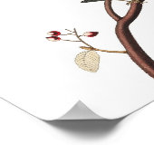 Poster de Paruline Audubon Vintage inhabituel (Coin)