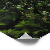 Poster de Paso Robles Pays du vin (Coin)