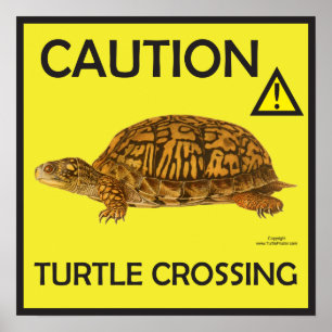 Poster de passage de tortues de prudence