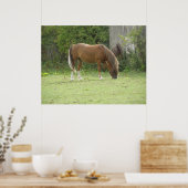 Poster de pâturage Cheval Brown de châtaignes (Cuisine)
