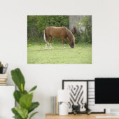 Poster de pâturage Cheval Brown de châtaignes (Bureau à domicile)