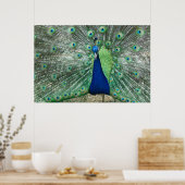 Poster de Peacock Homme (Cuisine)