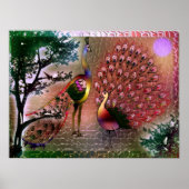Poster de Peacocks (Devant)