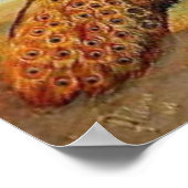 Poster de Peacocks et poulets (Coin)