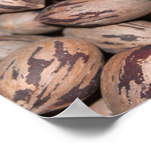 Poster de Pecan (Coin)