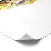 Poster de pêche - Poisson Brown de truite (Coin)