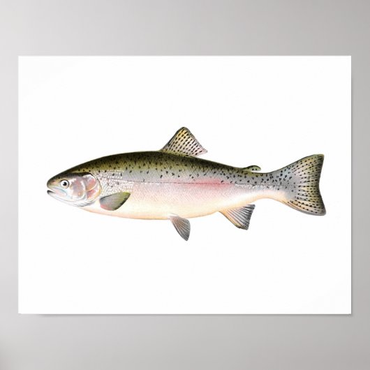 Poster de pêche - Poisson de truite arc-en-ciel (Devant)