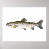 Poster de pêche - Poisson de truite Saumon (Devant)