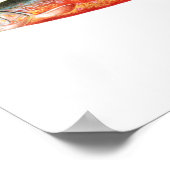 Poster de pêche - Sunapee Truite Poisson (Coin)