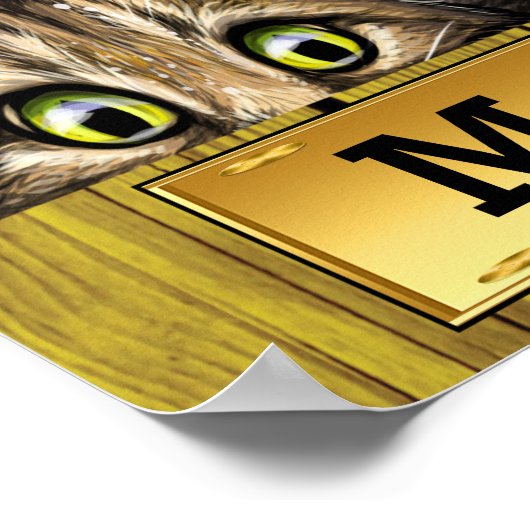 Poster de Peeking Cats (Coin)