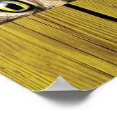 Poster de Peeking Cats (Coin)