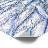 Poster de Pegasus Fairy (Coin)