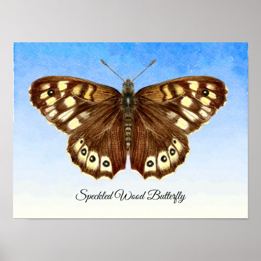 Poster de peinture à l'aquarelle de papillon de bo (Devant)