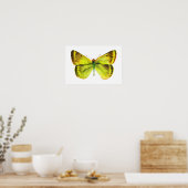 Poster de peinture à l'aquarelle papillon (Cuisine)