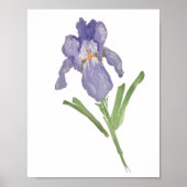 Poster de peinture à l'aquarelle violette Iris (Devant)