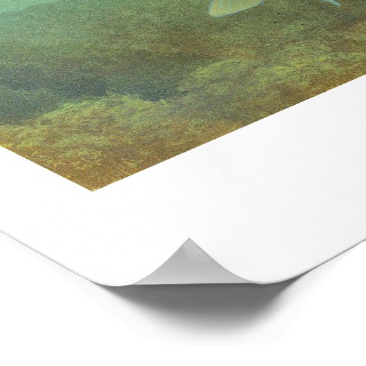 Poster de peinture basse de Smallmouth (Coin)