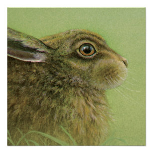 Poster de peinture d'art de la faune du lapin