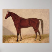 Poster de peinture de Cheval Arabe (Devant)