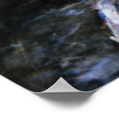 Poster de peinture de Koi Fish Pond (Coin)