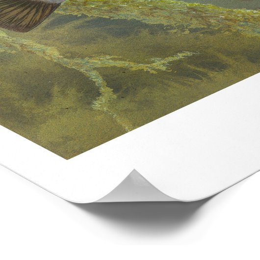 Poster de peinture de poisson-soleil (Coin)